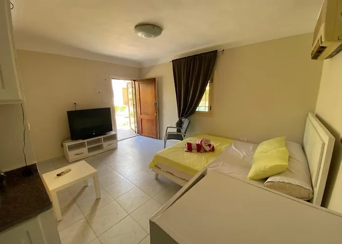 For Daily Rent Apartment